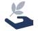 Environmental Policy